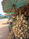 Lao crops for sale at roadside