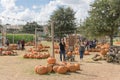 Wide variety of pumpkins decoration at local farm in Texas, Amer