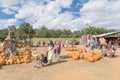 Wide variety of pumpkins decoration at local farm in Texas, Amer