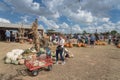 Wide variety of pumpkins decoration at local farm in Texas, Amer