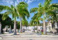 Wide view of a cemetery in Guayaquil