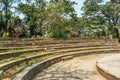 Wide view of circular concrete steps in a green garden, Chennai, India, April 01 2017