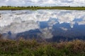 A wide view of cloudy white clouds floating above a flooded rice field Royalty Free Stock Photo