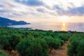 Wide view of a Cretan landscape, island of Crete, Greece Royalty Free Stock Photo