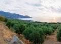 Wide view of a Cretan landscape, island of Crete, Greece Royalty Free Stock Photo