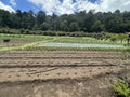 Panoramic View of Cultivated Farmland with Irrigation System Royalty Free Stock Photo