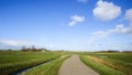 Wide view on Dutch landscape with meadow and cloudy skies Royalty Free Stock Photo