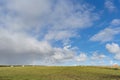 Wide view on Dutch landscape with sheep, meadow and cloudy skies Royalty Free Stock Photo