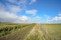 Wide view on Dutch landscape with sheep, meadow and cloudy skies Royalty Free Stock Photo