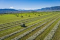 Wide View of Green Farm Field Royalty Free Stock Photo
