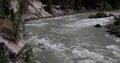 Wide view of a green flooded river 4k 24fps