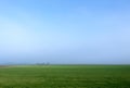 Wide view of a misty green farming field