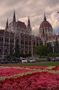 Wide view of Parliament building in Budapest, Hungary and garden with flowers Royalty Free Stock Photo