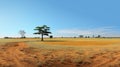 Panoramic Desert Scene With Tree: African Influence And Rural Life Royalty Free Stock Photo