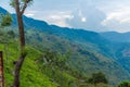 Wide view of Suicide point view at Ooty, India, 19 Aug 2014 Royalty Free Stock Photo