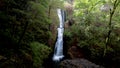 Wide view of a 2-tiered waterfall in a lush pacific northwest forest