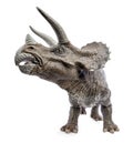 Wide view of Triceratops dinosaurs toy.