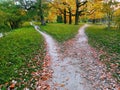 A wide walking trail in the park, strewn with fallen leaves, is divided into two narrow paths leading in different Royalty Free Stock Photo