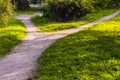 A wide walking trail splits into two narrow paths in the park in summer