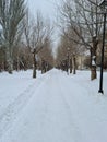 A wide winter road in the park. Snow-covered empty street