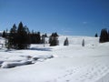 Wide winter view. Winkelmoosalm Germany