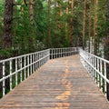 wide wooden bridge with white railings in a dense forest among pine trees Royalty Free Stock Photo