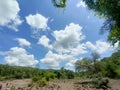 wideangle view of forest camping site