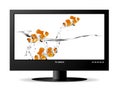 Widescreen lcd monitor Royalty Free Stock Photo