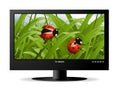 Widescreen lcd monitor Royalty Free Stock Photo