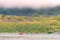 Widescreen panoramic view of South Georgia, a dreamlike green island