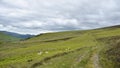 Nice valley east side of Burn Tod, Lake District