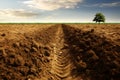 Widespread Soil agriculture erosion. Generate Ai