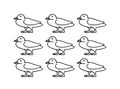 Widgeon bird shape, sketch, art or drawing isolated on white background. Repeating pattern. Set or collection.