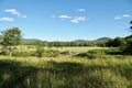 Widham Path in Catskill Mountains in Summer