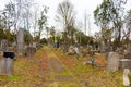 Vienna Central Cemetery Royalty Free Stock Photo