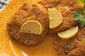 Wiener Schnitzel Royalty Free Stock Photo