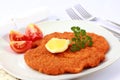 Wiener Schnitzel with lemon Royalty Free Stock Photo