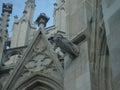 Wienna detail from the church gargoyle