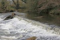 Wier on the River Culm, Devon Royalty Free Stock Photo