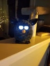 Wierd retro Furby eyes Royalty Free Stock Photo