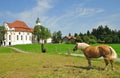 Wies Church,Bavaria Royalty Free Stock Photo