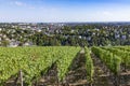 Wiesbaden, Germany as viewed from Neroberg, a hill to its north, where visitors may view a panorama of the city