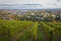 Wiesbaden, Germany seen from Neroberg