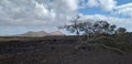 Wiew of volcans and desert rocks with tree Royalty Free Stock Photo