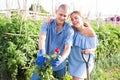 Wife and husband cutting roses