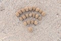 Wifi on the beach Royalty Free Stock Photo