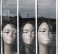 Wig Mannequins In A Window