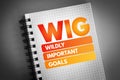 WIG - Wildly Important Goals acronym Royalty Free Stock Photo