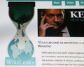 WikiLeaks homepage Royalty Free Stock Photo