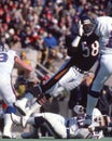 Wilbur Marshall, Chicago Bears